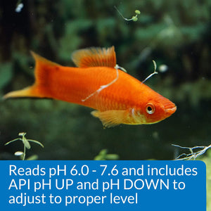 3 count API pH Test and Adjuster Kit for Freshwater Aquariums