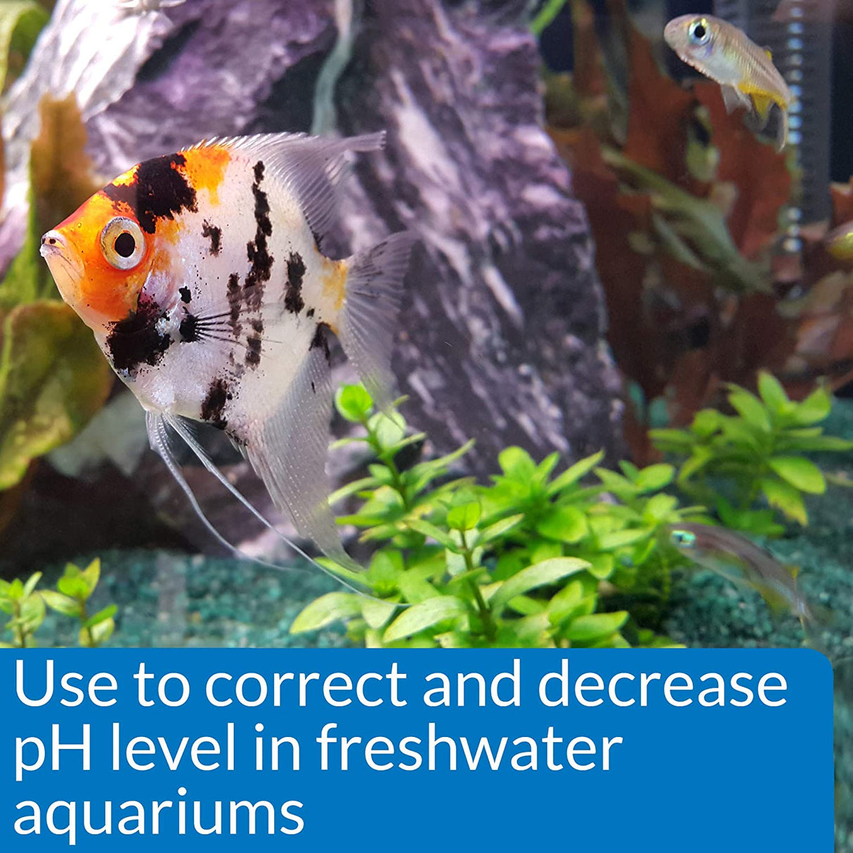16 oz API pH Down Lowers Aquarium pH for Freshwater Aquariums