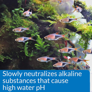 24 oz (6 x 4 oz) API pH Down Lowers Aquarium pH for Freshwater Aquariums