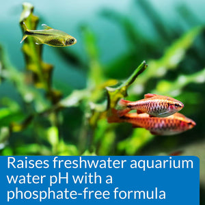 16 oz API pH Up Raises Aquarium pH for Freshwater Aquariums