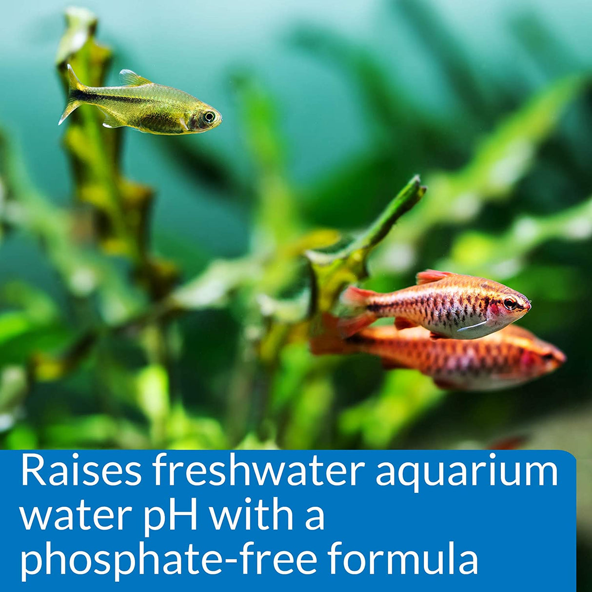 4 oz API pH Up Raises Aquarium pH for Freshwater Aquariums