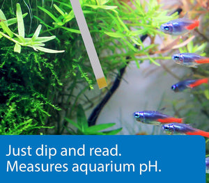 API pH Test Strips for Freshwater and Saltwater Aquariums - PetMountain.com