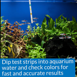 75 count (3 x 25 ct) API 5 in 1 Aquarium Test Strips for Freshwater and Saltwater Aquariums