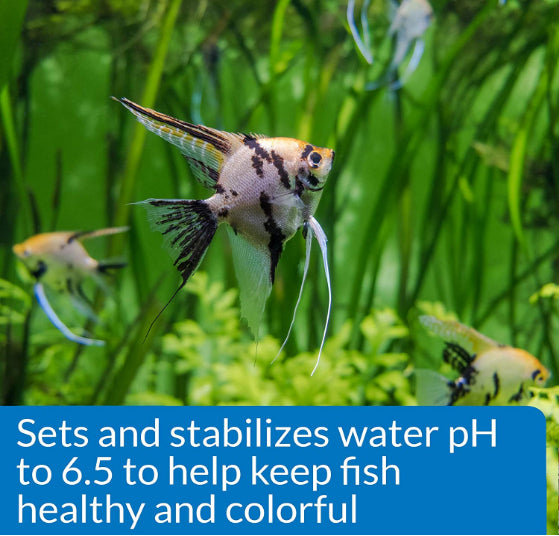API Proper pH 6.5 Freshwater Aquarium pH Stabilizer - PetMountain.com