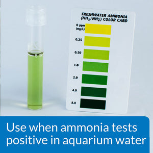 8 oz API Ammo Lock Detoxifies Aquarium Ammonia
