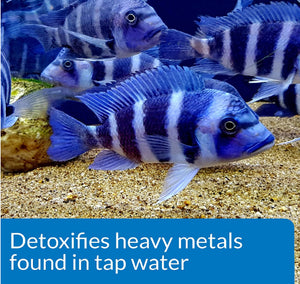 64 oz API Tap Water Conditioner Detoxifies Heavy Metals and Dechlorinates Aquarium Water