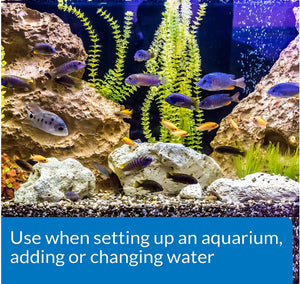 96 oz (3 x 32 oz) API Tap Water Conditioner Detoxifies Heavy Metals and Dechlorinates Aquarium Water