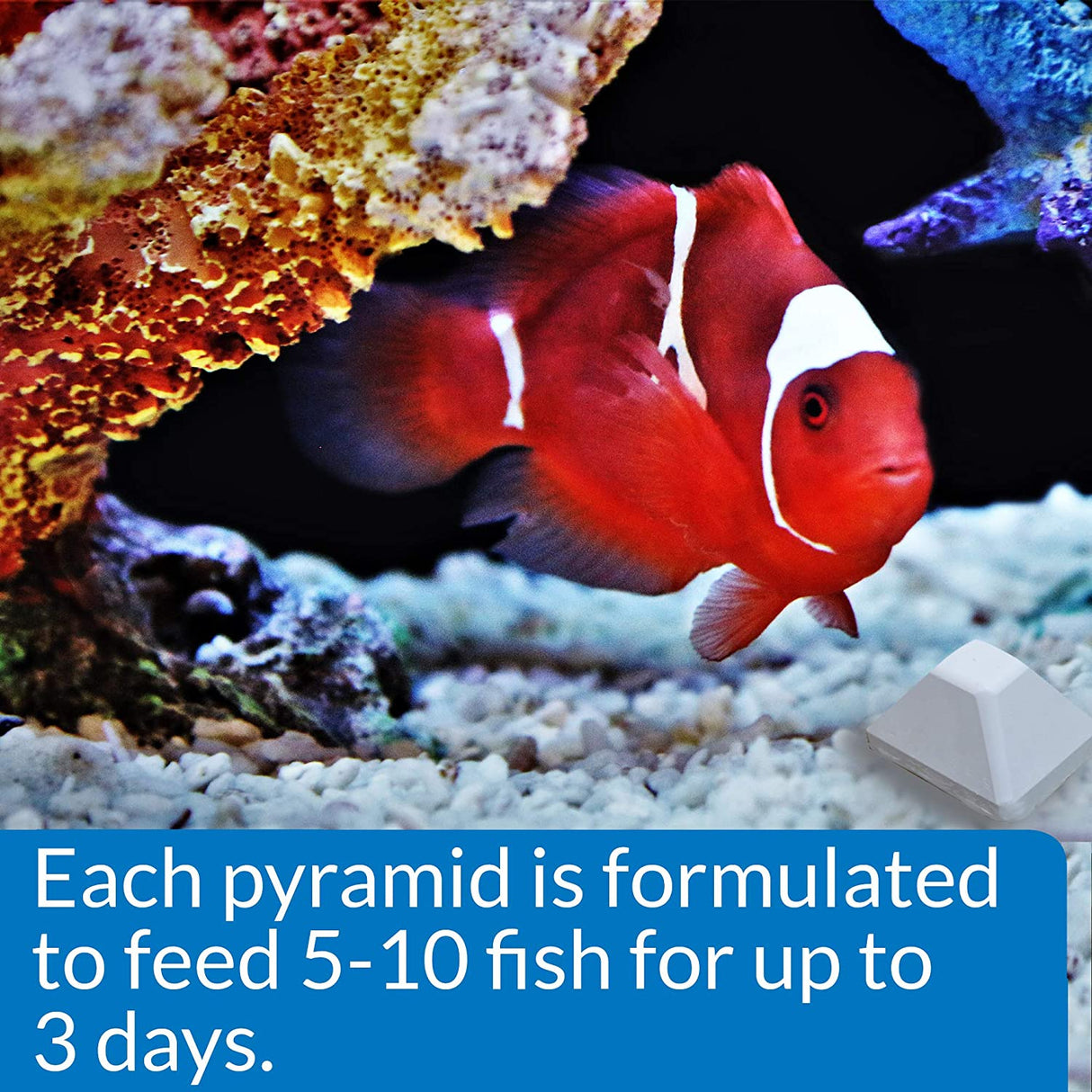 48 count (12 x 4 ct) API Weekend Pyramid Fish Feeder up to 3 Days