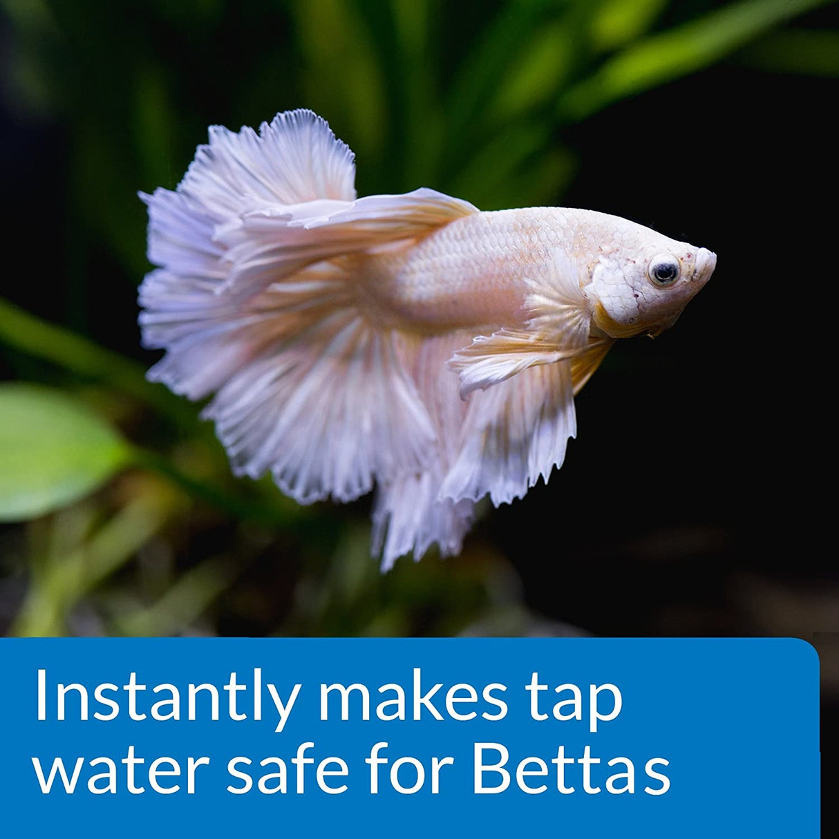 5.1 oz (3 x 1.7 oz) API Betta Water Conditioner Makes Tap Water Safe