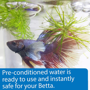 186 oz (6 x 31 oz) API Betta Water Add Fish Instantly
