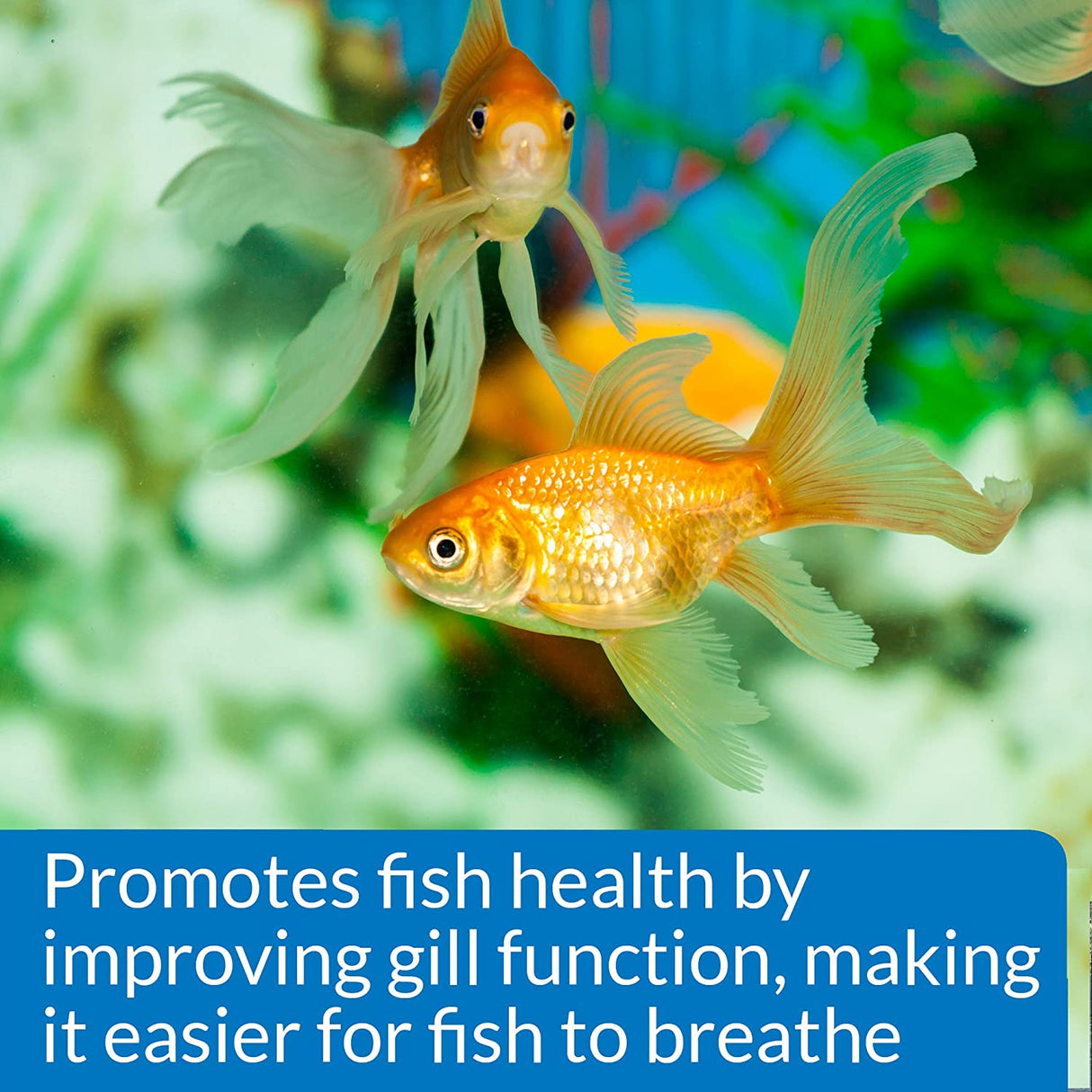 16 oz API Aquarium Salt Promotes Fish Health for Freshwater Aquariums