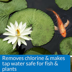 48 oz (3 x 16 oz) API Pond Chlorine and Heavy Metal Neutralizer Removes Chlorine