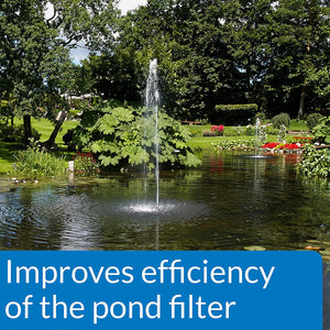 2 gallon (2 x 1 gal) API Pond Accu-Clear Quickly Clears Pond Water