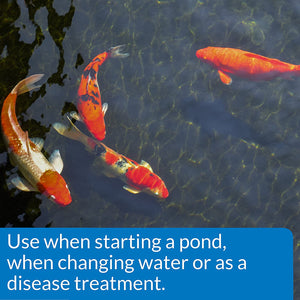 9.6 lb API Pond Pond Salt Natural Fish Tonic for Ponds