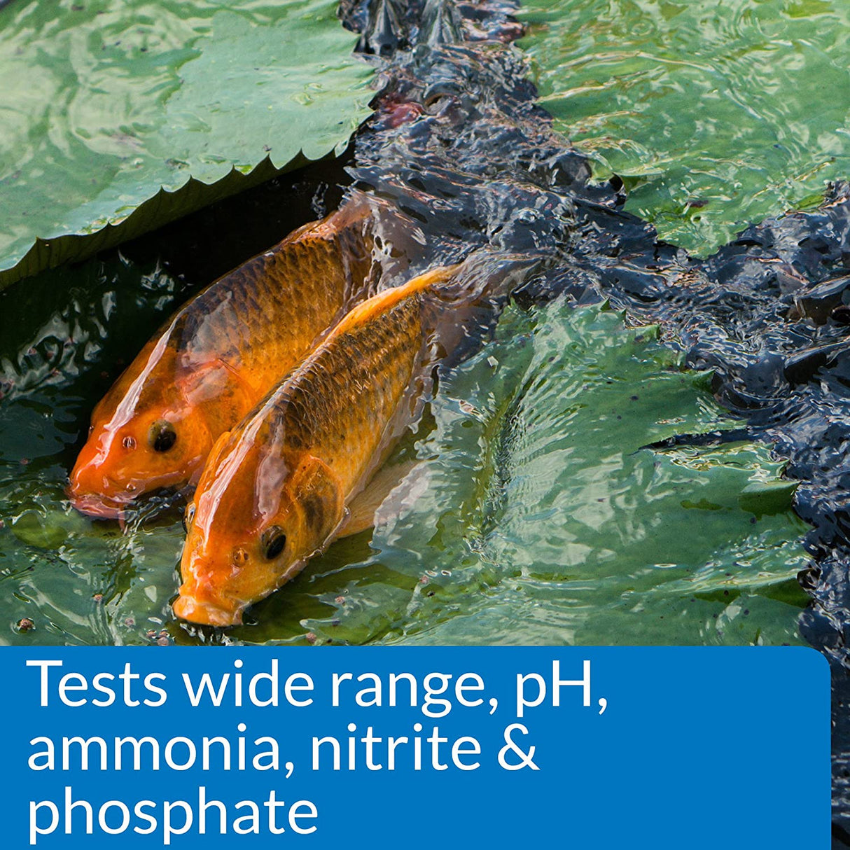 1 count API Pond Master Test Kit Tests Wide Range pH, Ammonia, Nitrite and Phosphate