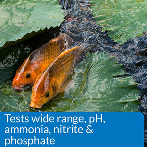 2 count API Pond Master Test Kit Tests Wide Range pH, Ammonia, Nitrite and Phosphate