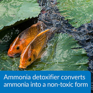 128 oz (2 x 64 oz) API Ammo Lock Ammonia Detoxifier for Ponds