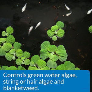 24 oz (3 X 8 oz) API Pond AlgaeFix Controls Algae Growth and Works Fast