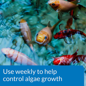 128 oz (2 x 64 oz) API Pond AlgaeFix Controls Algae Growth and Works Fast