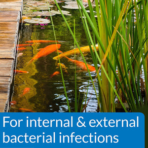 48 oz (3 x 16 oz) API Pond Pimafix Treats Fungal Fish Infections for Koi and Goldfish
