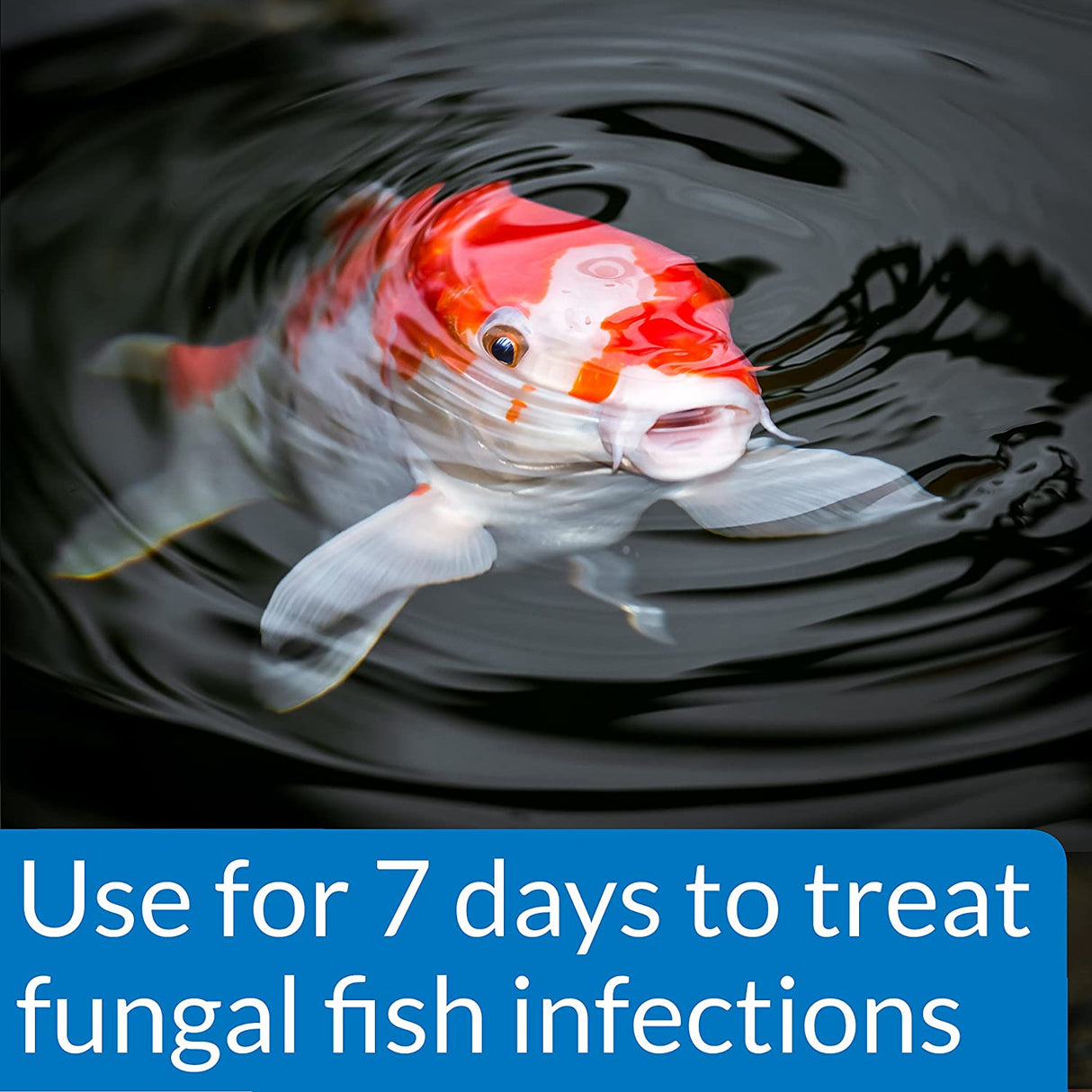 48 oz (3 x 16 oz) API Pond Pimafix Treats Fungal Fish Infections for Koi and Goldfish