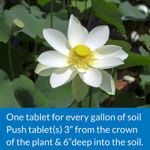 150 count (6 x 25 ct) API Pond Aquatic Plant Food Tablets