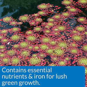 150 count (6 x 25 ct) API Pond Aquatic Plant Food Tablets