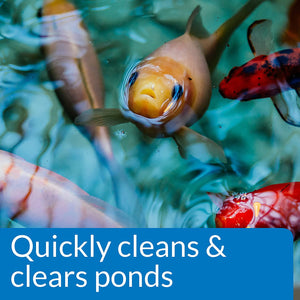 2 gallon (2 x 1 gal) API Pond Simply-Clear with Barley Quickly Cleans and Clears Ponds