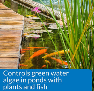 48 oz (3 x 16 oz) API PondCare Microbial Algae Clean Alternative Approach to Algae Control