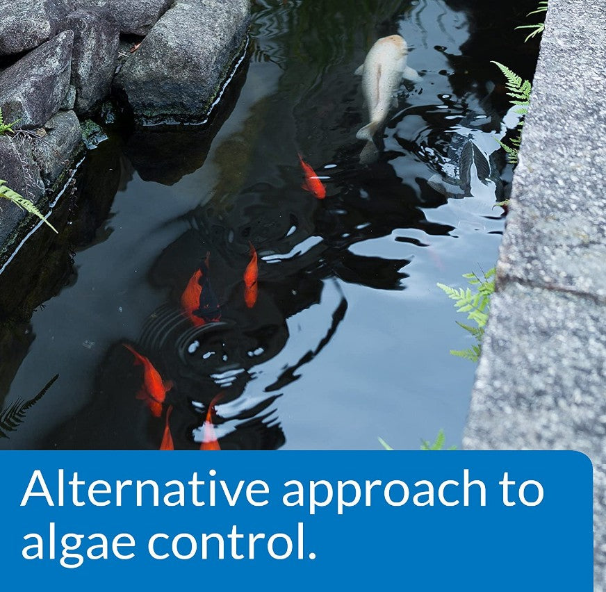 2 gallon (2 x 1 gal) API PondCare Microbial Algae Clean Alternative Approach to Algae Control