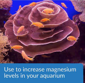 API Marine Magnesium Raises Magnesium Levels in Reef Aquariums - PetMountain.com