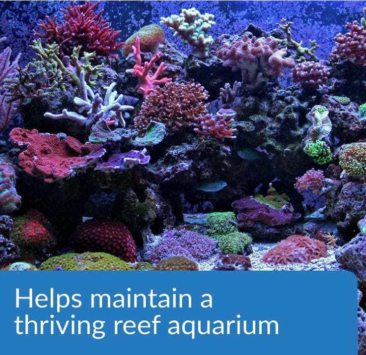 API Marine Magnesium Raises Magnesium Levels in Reef Aquariums - PetMountain.com