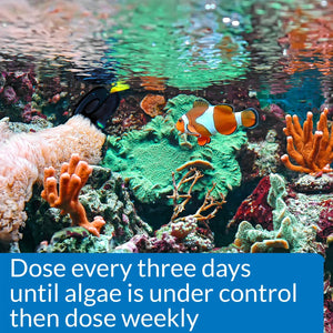 16 oz API Marine AlgaeFix Controls Algae Growth and Works Fast