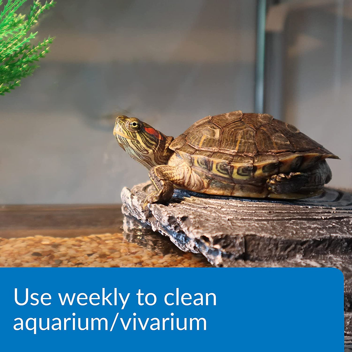 24 oz (6 x 4 oz) API Turtle Sludge Destroyer Breaks Down Organic Waste and Debris with Beneficial Bacteria