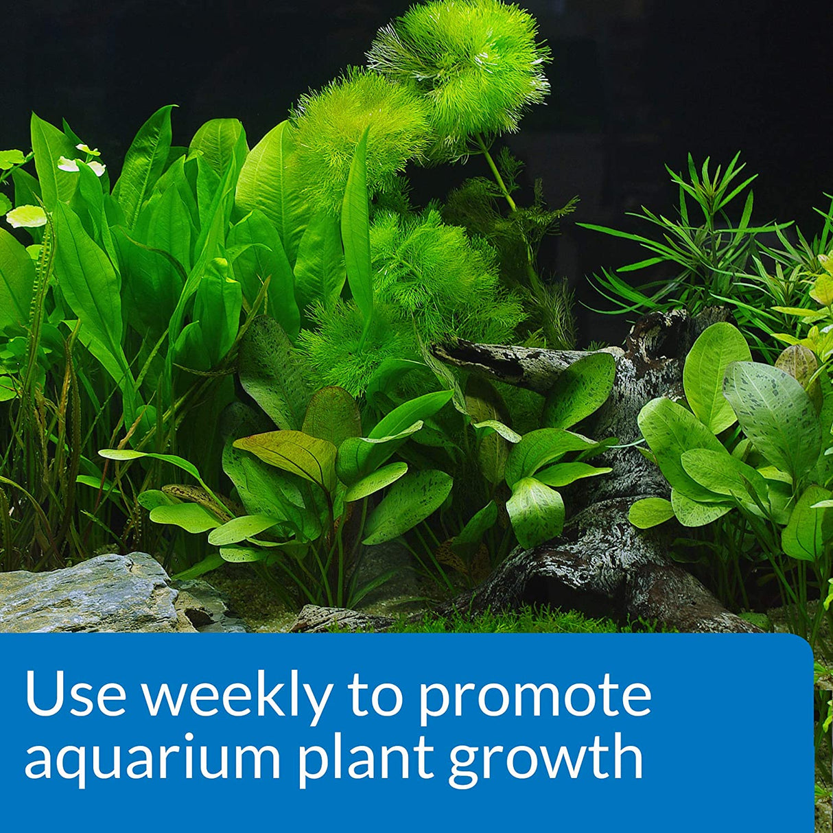 54 oz (3 x 18 oz) API Leaf Zone Promotes Aquarium Plant Growth