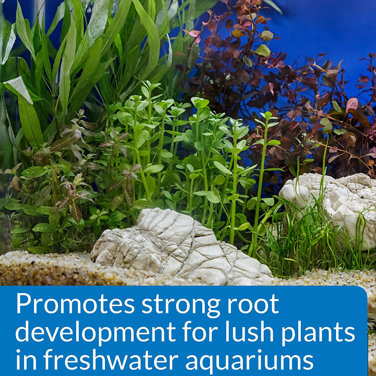 60 count (6 x 10 ct) API Root Tabs Plus Iron Promotes Lush Growth of Aquarium Plants