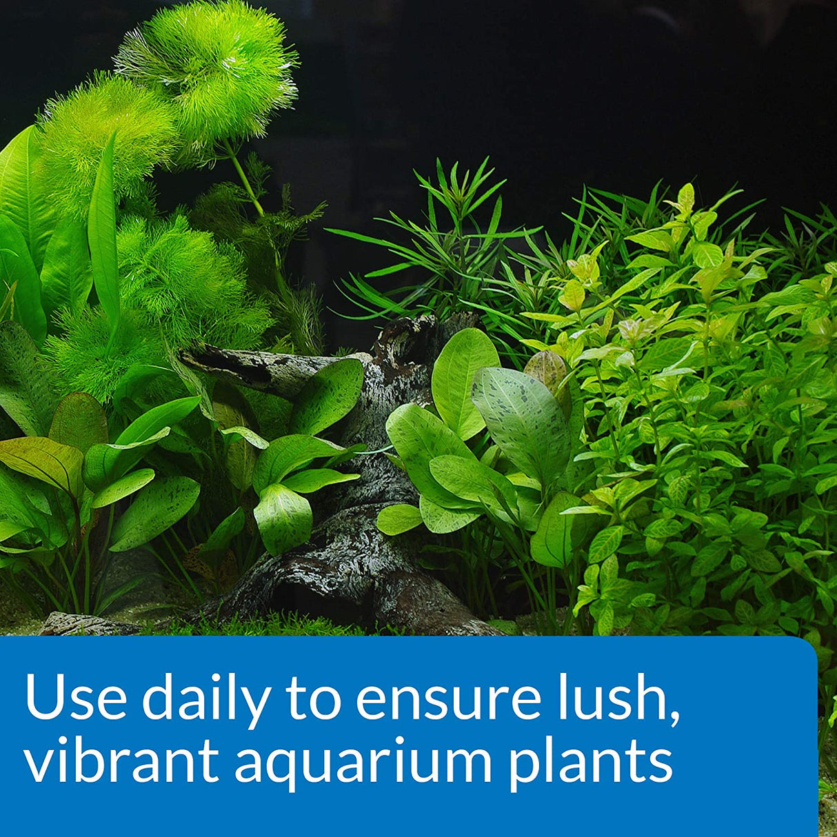 16 oz API CO2 Booster Promotes a Vibrant, Healthy Planted Aquarium