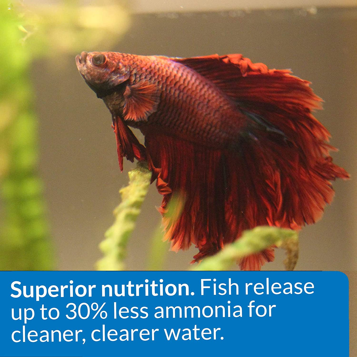 9 oz (9 x 1 oz) API Betta Food Floating Pellets