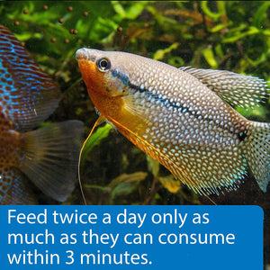 12.6 oz (3 x 4.2 oz) API Tropical Premium Pellets for Community Fish