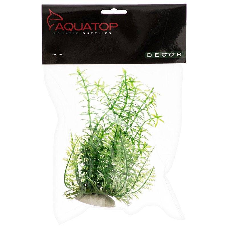 Aquatop Anacharis Aquarium Plant Green - PetMountain.com