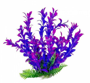 Aquatop Hygro Aquarium Plant Pink and Purple - PetMountain.com