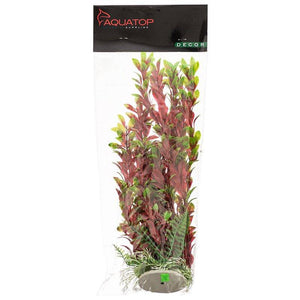 Aquatop Hygro Aquarium Plant Red and Green - PetMountain.com