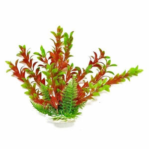 Aquatop Hygro Aquarium Plant Red and Green - PetMountain.com