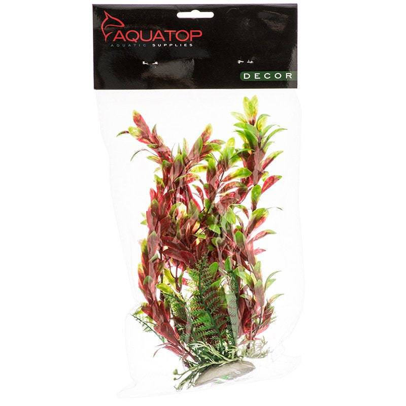 Aquatop Hygro Aquarium Plant Red and Green - PetMountain.com