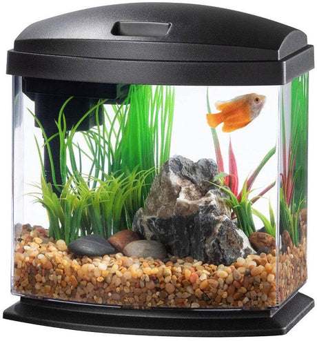 Aqueon LED MiniBow 1 SmartClean Aquarium Kit Black