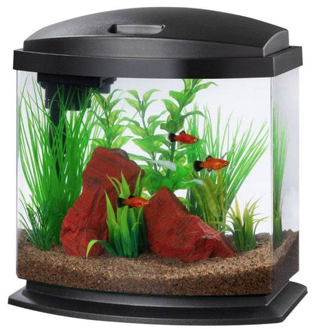 Aqueon LED MiniBow 2.5 SmartClean Aquarium Kit Black - PetMountain.com