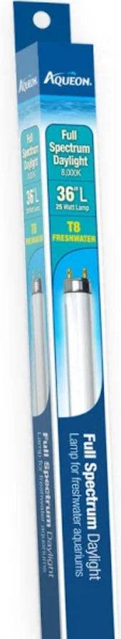 Aqueon T8 Daylight Fluorescent Lamp - PetMountain.com