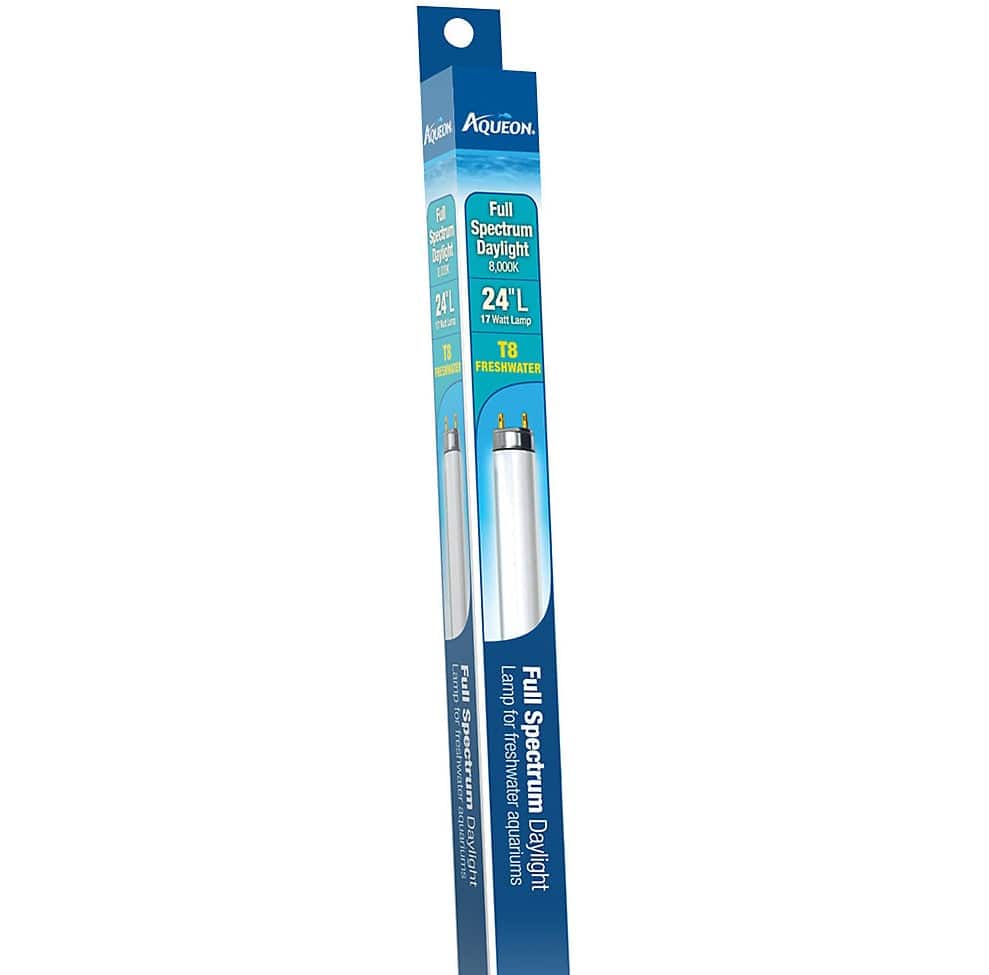 Aqueon T8 Daylight Fluorescent Lamp - PetMountain.com