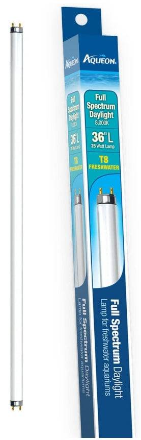 Aqueon T8 Daylight Fluorescent Lamp - PetMountain.com