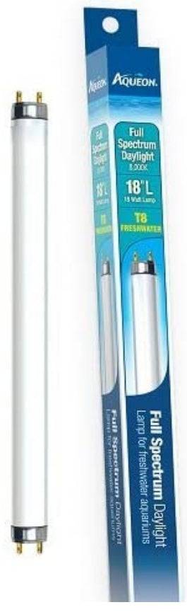 Aqueon T8 Daylight Fluorescent Lamp - PetMountain.com